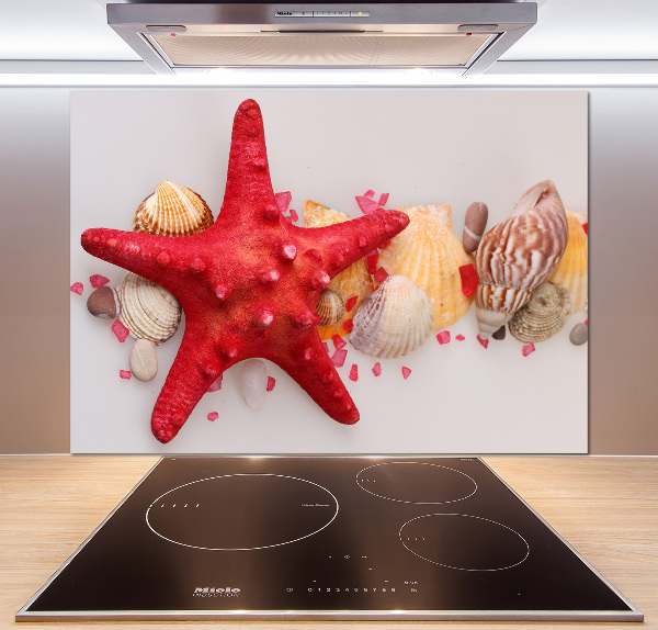 Kitchen splashback Starfish and shells