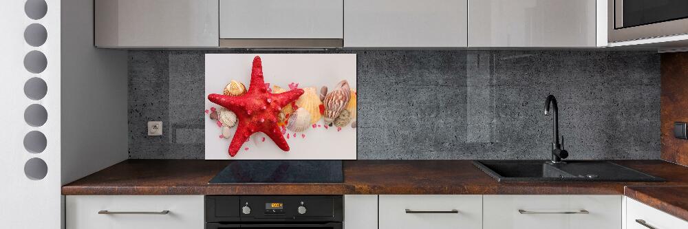 Kitchen splashback Starfish and shells