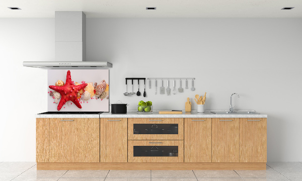 Kitchen splashback Starfish and shells