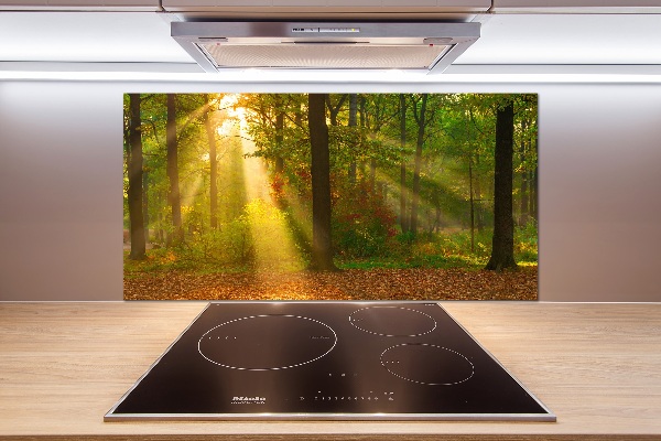 Cooker splashback Forest in the sun