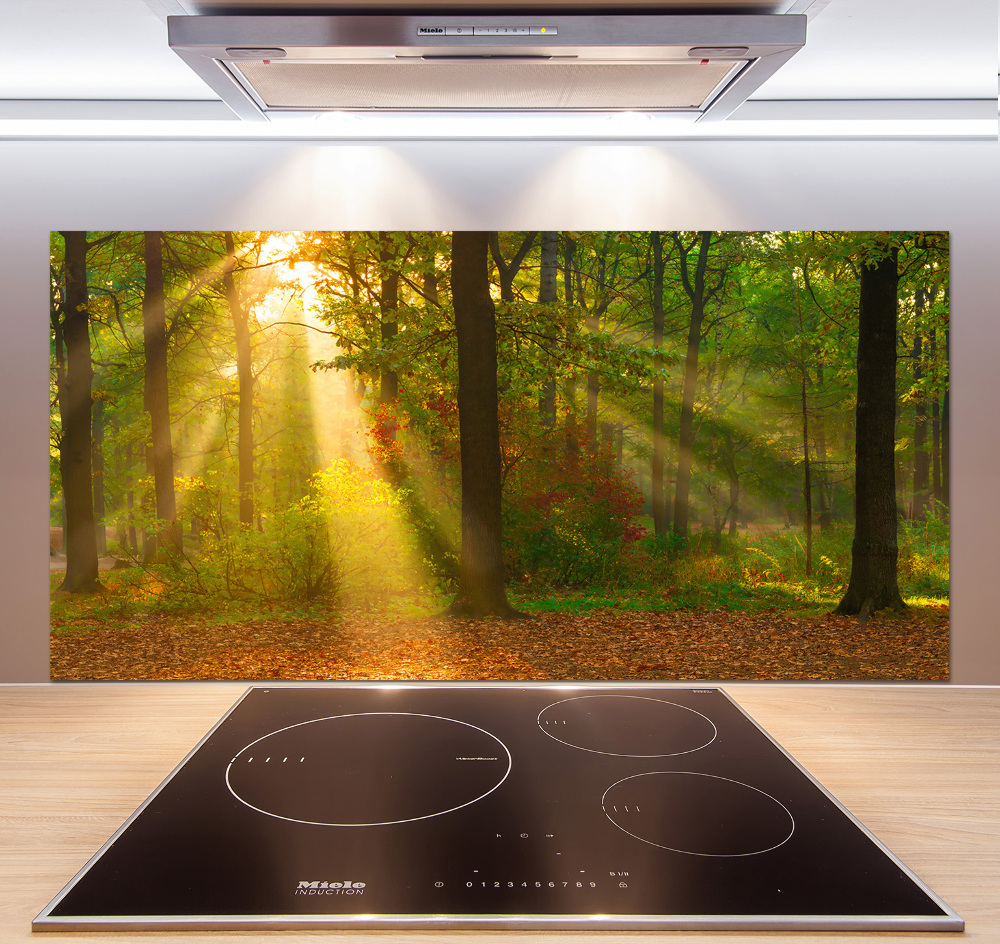 Cooker splashback Forest in the sun