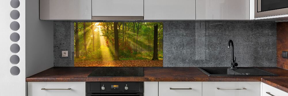 Cooker splashback Forest in the sun