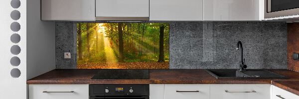 Cooker splashback Forest in the sun