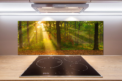 Cooker splashback Forest in the sun