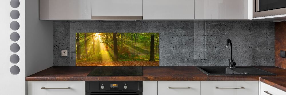 Cooker splashback Forest in the sun