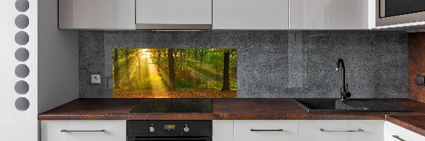 Cooker splashback Forest in the sun