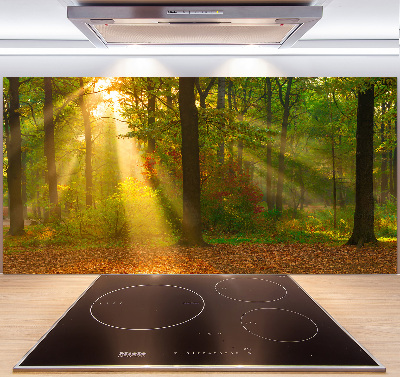 Cooker splashback Forest in the sun