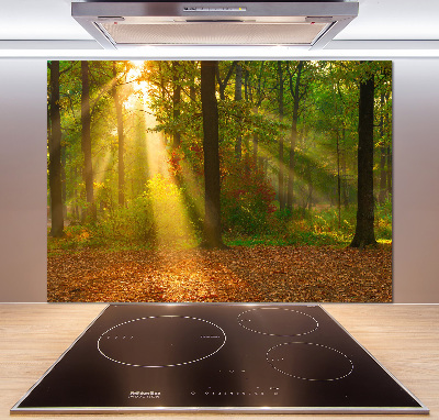 Cooker splashback Forest in the sun