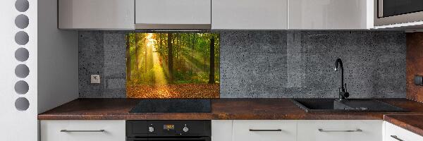 Cooker splashback Forest in the sun