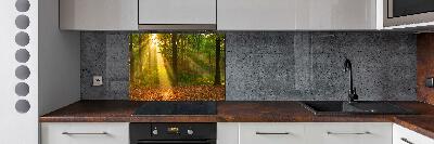 Cooker splashback Forest in the sun