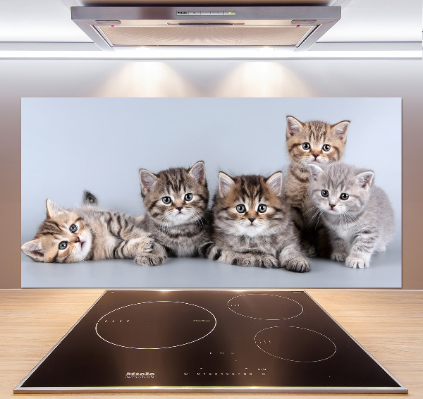 Kitchen splashback Five cats