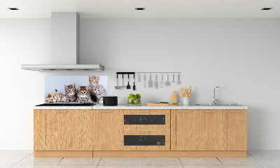 Kitchen splashback Five cats