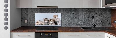 Kitchen splashback Five cats