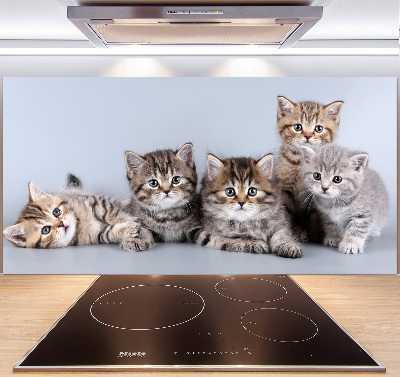 Kitchen splashback Five cats