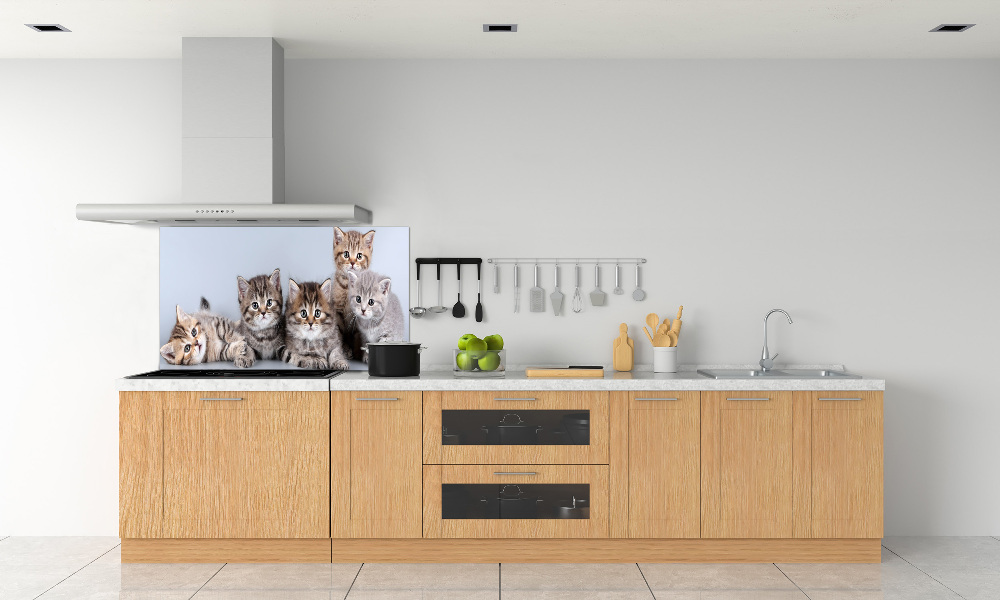 Kitchen splashback Five cats