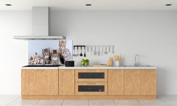 Kitchen splashback Five cats