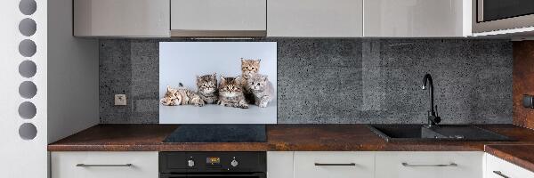 Kitchen splashback Five cats