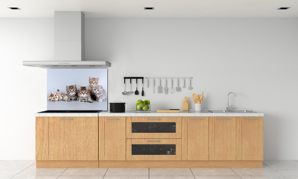 Kitchen splashback Five cats