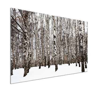 Cooker splashback Birches in winter