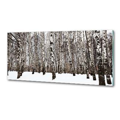 Cooker splashback Birches in winter