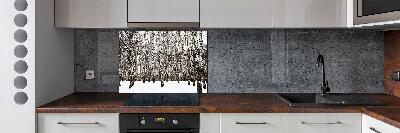 Cooker splashback Birches in winter