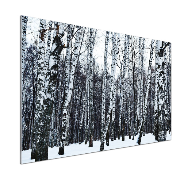 Cooker splashback Birches in winter