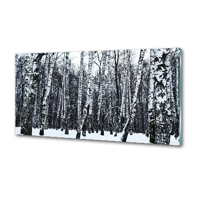 Cooker splashback Birches in winter