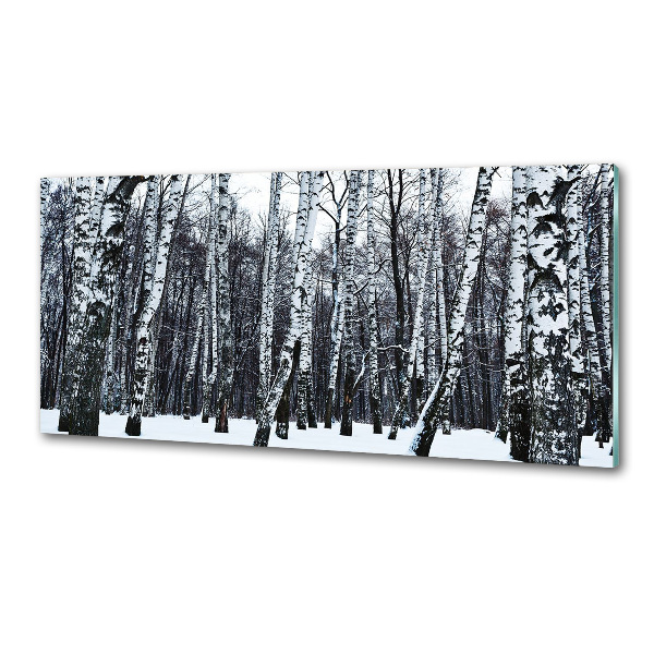 Cooker splashback Birches in winter