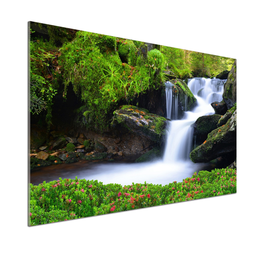 Cooker splashback Waterfall in the forest