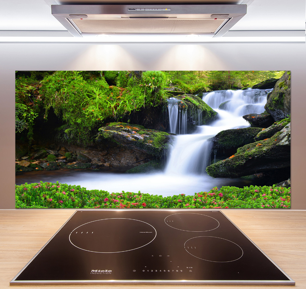 Cooker splashback Waterfall in the forest