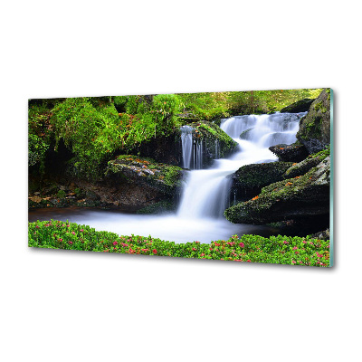 Cooker splashback Waterfall in the forest