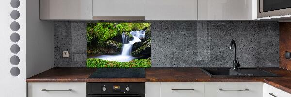 Cooker splashback Waterfall in the forest