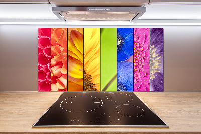 Cooker splashback Colorful flowers