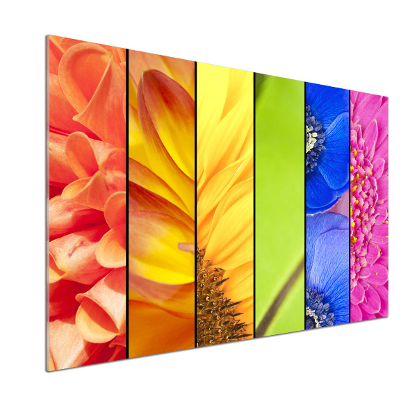 Cooker splashback Colorful flowers