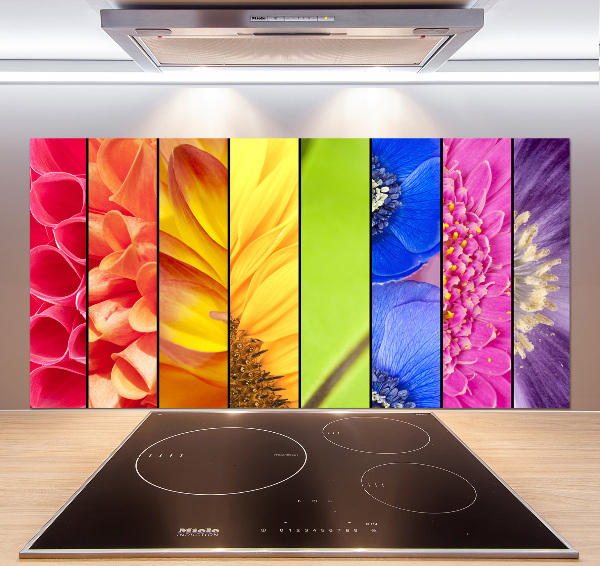 Cooker splashback Colorful flowers