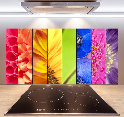 Cooker splashback Colorful flowers