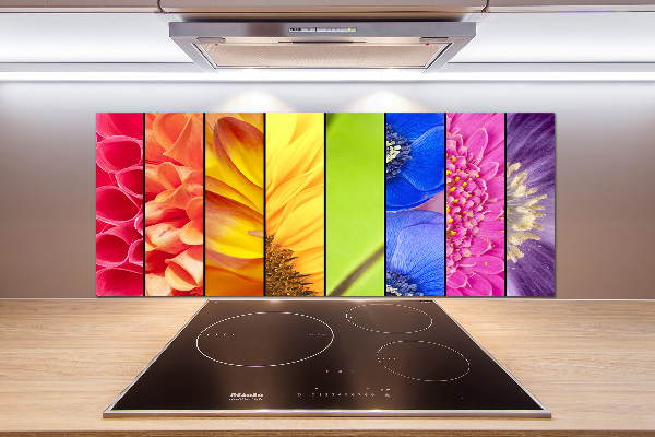 Cooker splashback Colorful flowers