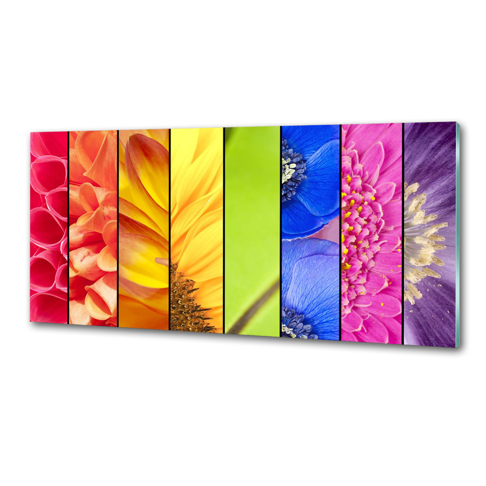 Cooker splashback Colorful flowers