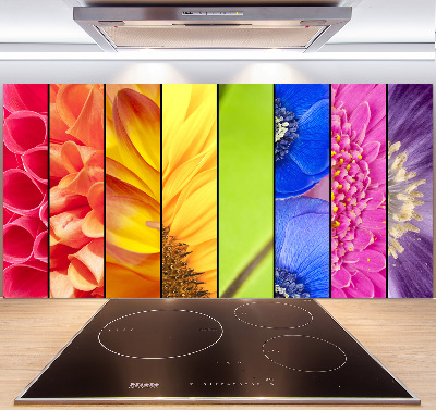 Cooker splashback Colorful flowers