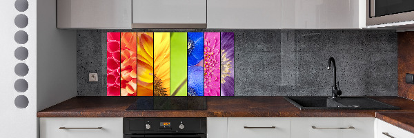 Cooker splashback Colorful flowers