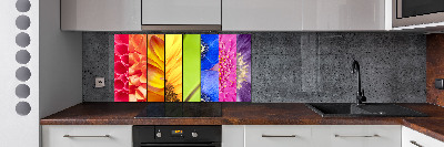 Cooker splashback Colorful flowers