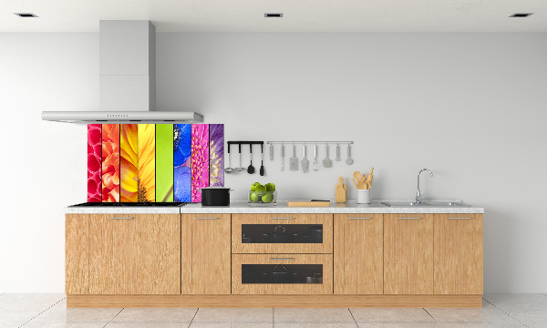 Cooker splashback Colorful flowers