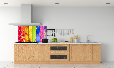 Cooker splashback Colorful flowers