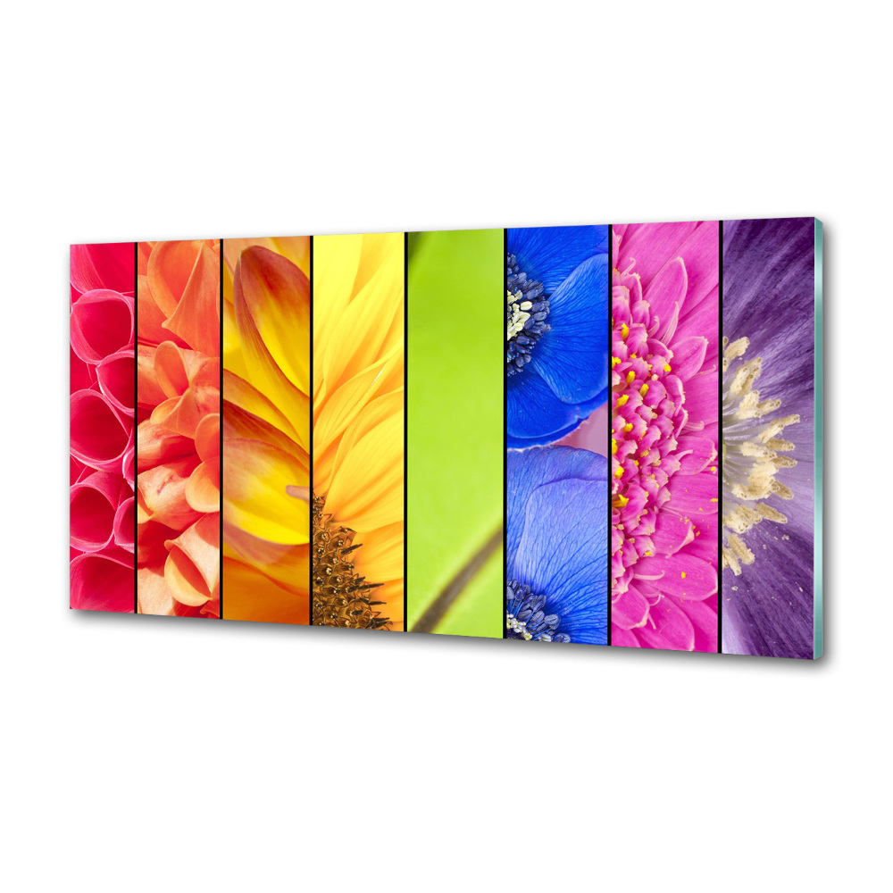 Cooker splashback Colorful flowers