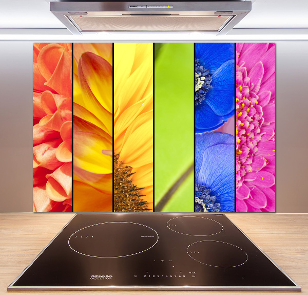 Cooker splashback Colorful flowers