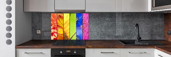 Cooker splashback Colorful flowers