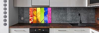 Cooker splashback Colorful flowers