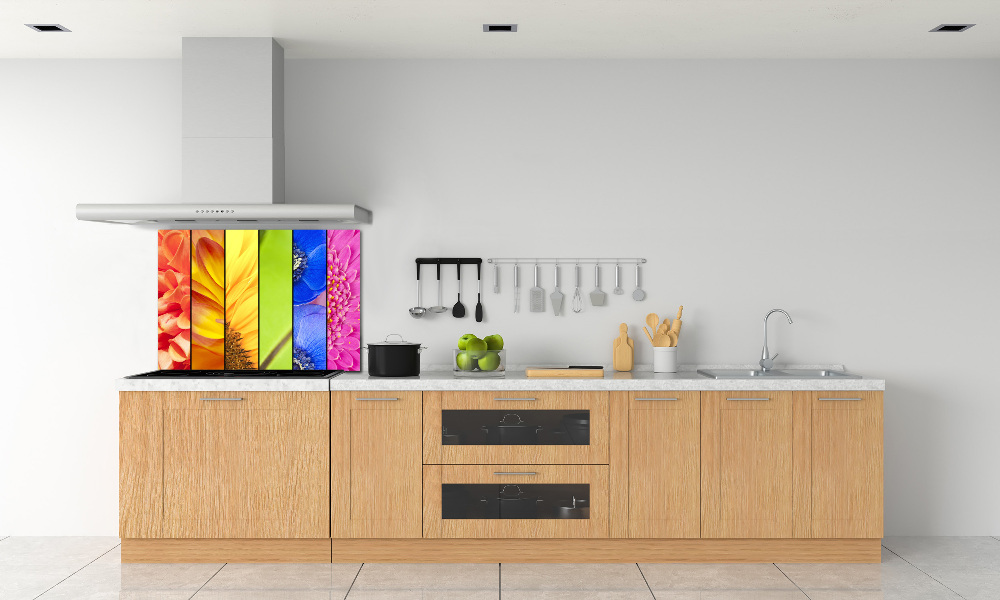 Cooker splashback Colorful flowers