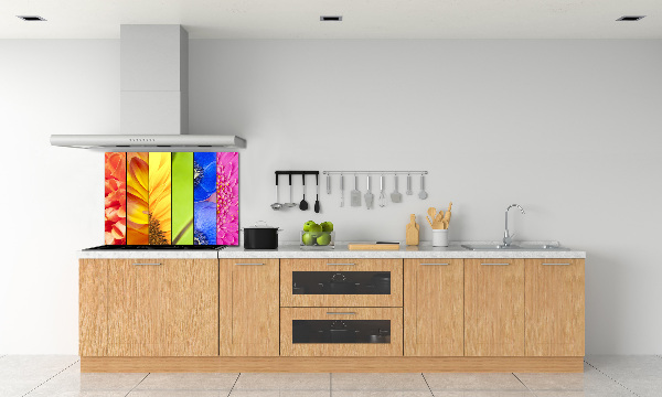 Cooker splashback Colorful flowers