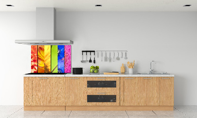 Cooker splashback Colorful flowers